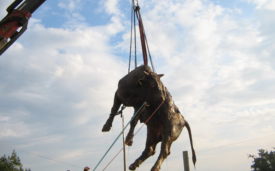 Tierrettung in Unteraubach