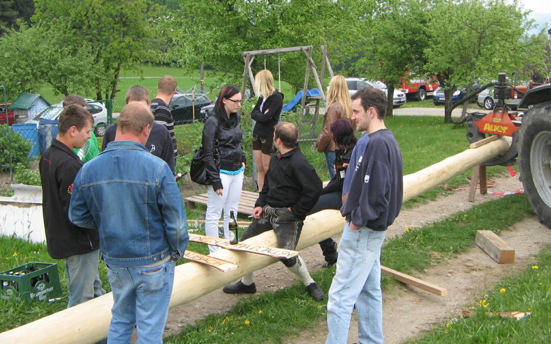 Maibaum stehlen 2011