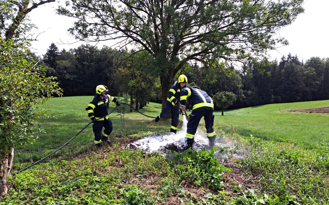Einsatz Brandverdacht – Salling