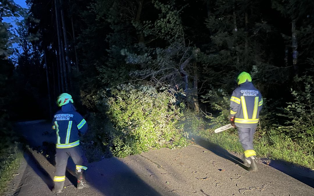 Baum über Straße (Unwetter)