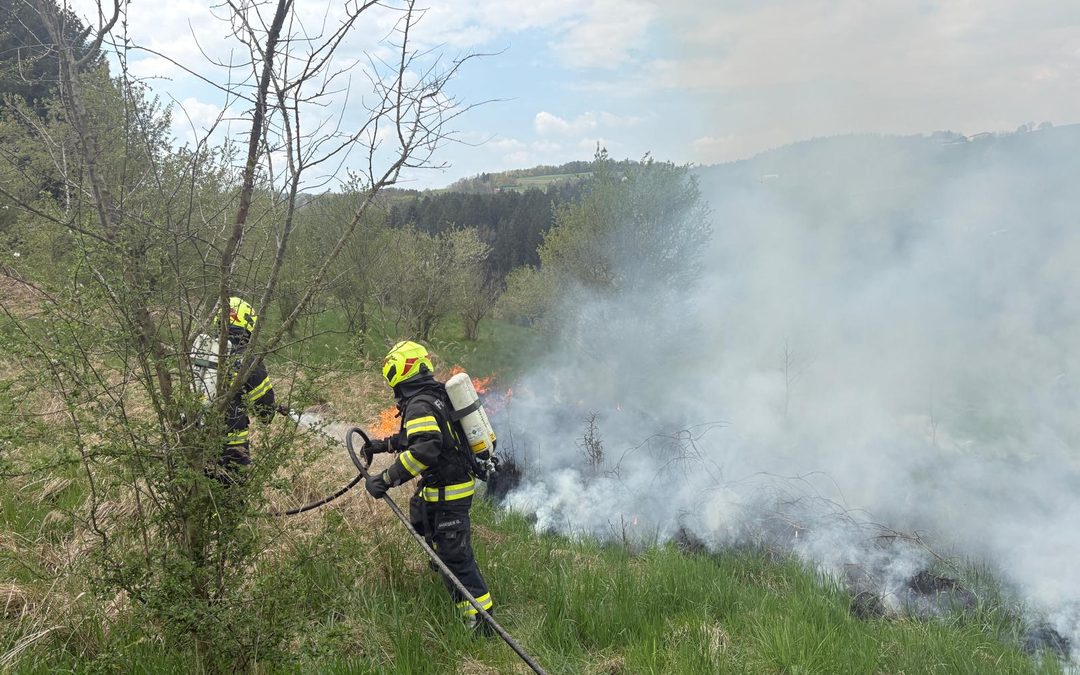 Flurbrand Höllberg